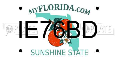 IE76BD Florida License Plate