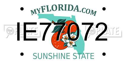 IE77072 Florida License Plate