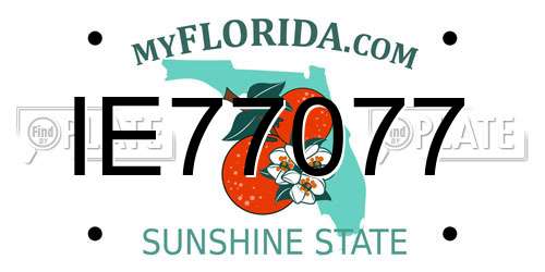 IE77077 Florida License Plate