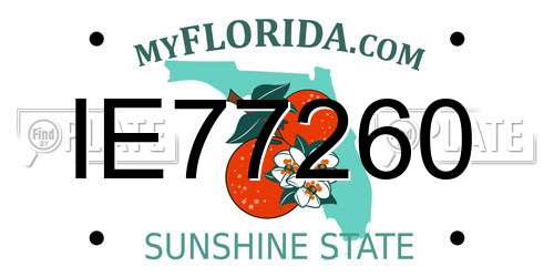 IE77260 Florida License Plate
