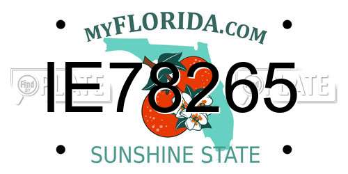 IE78265 Florida License Plate