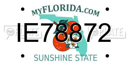 IE78872 Florida License Plate