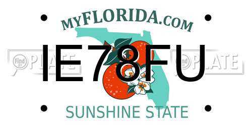 IE78FU Florida License Plate