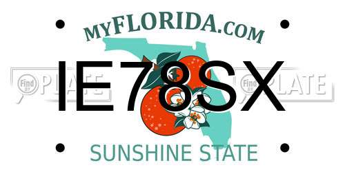 IE78SX Florida License Plate