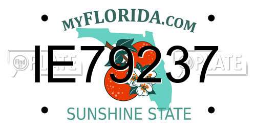 IE79237 Florida License Plate