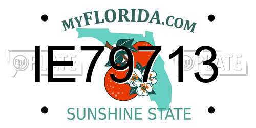 IE79713 Florida License Plate