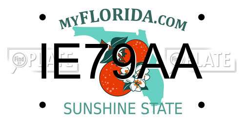 IE79AA Florida License Plate