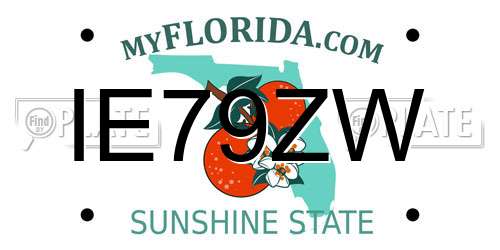 IE79ZW Florida License Plate