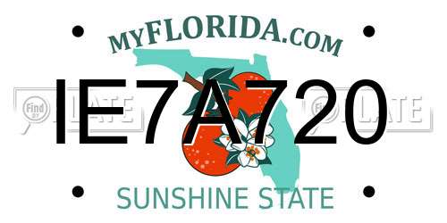 IE7A720 Florida License Plate