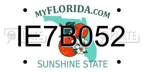 IE7B052 Florida License Plate