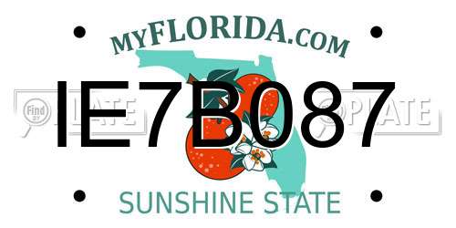 IE7B087 Florida License Plate
