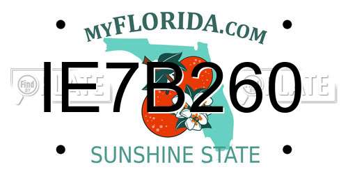 IE7B260 Florida License Plate