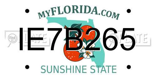 IE7B265 Florida License Plate