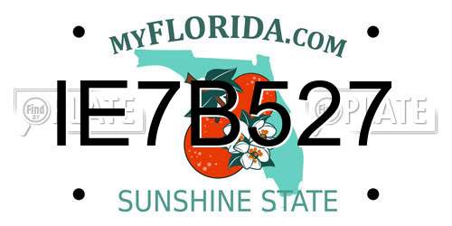 IE7B527 Florida License Plate