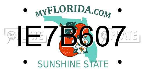 IE7B607 Florida License Plate