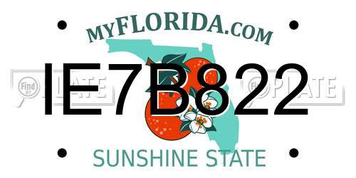 IE7B822 Florida License Plate