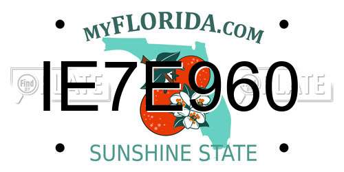 IE7E960 Florida License Plate