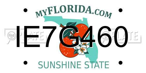 IE7G460 Florida License Plate