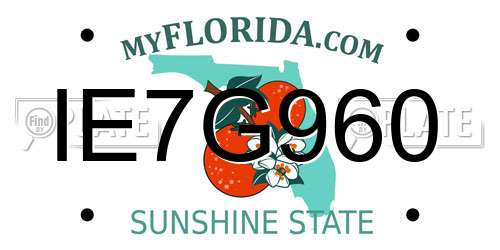 IE7G960 Florida License Plate