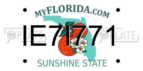 IE7I771 Florida License Plate