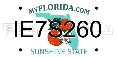 IE7S260 Florida License Plate