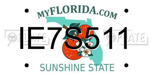 IE7S511 Florida License Plate