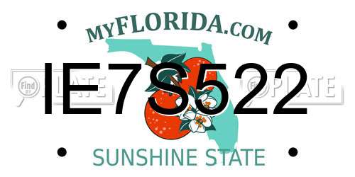 IE7S522 Florida License Plate