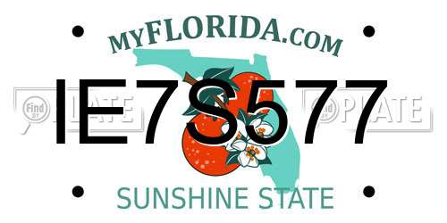 IE7S577 Florida License Plate