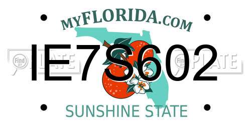 IE7S602 Florida License Plate