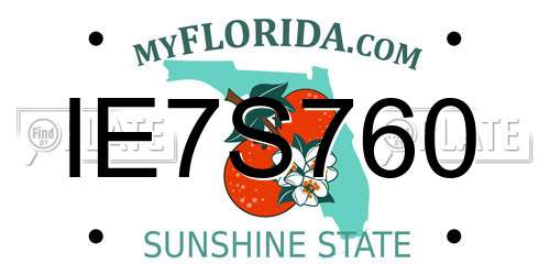 IE7S760 Florida License Plate