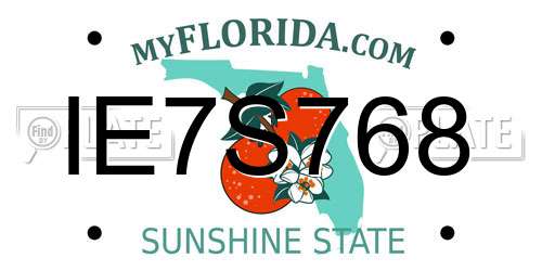 IE7S768 Florida License Plate