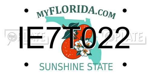 IE7T022 Florida License Plate
