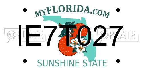 IE7T027 Florida License Plate