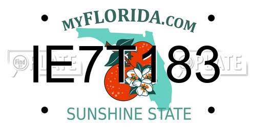 IE7T183 Florida License Plate