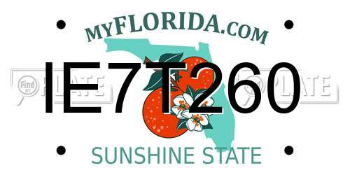 IE7T260 Florida License Plate