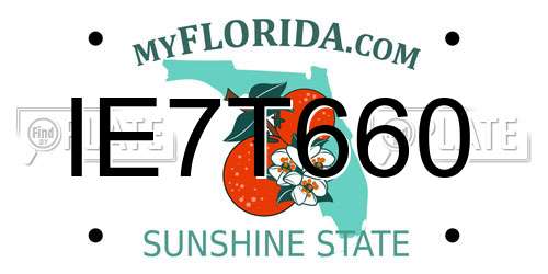 IE7T660 Florida License Plate