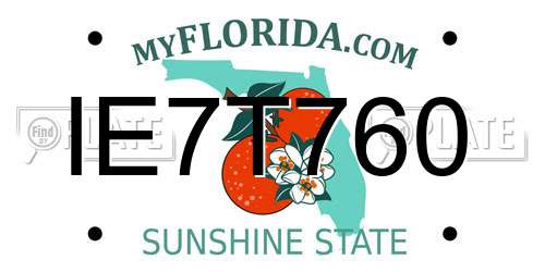 IE7T760 Florida License Plate