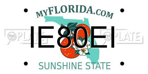 IE80EI Florida License Plate