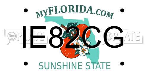 IE82CG Florida License Plate