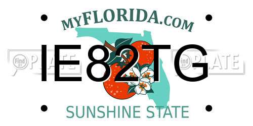IE82TG Florida License Plate