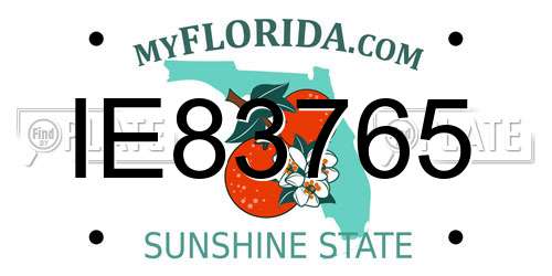 IE83765 Florida License Plate