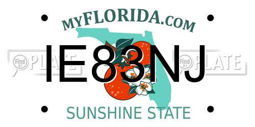 IE83NJ Florida License Plate