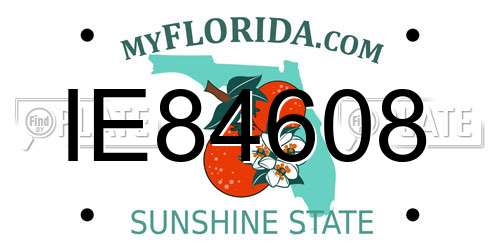 IE84608 Florida License Plate