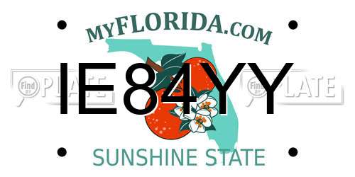 IE84YY Florida License Plate