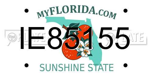 IE85155 Florida License Plate