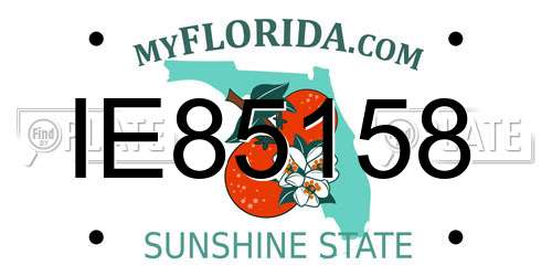 IE85158 Florida License Plate