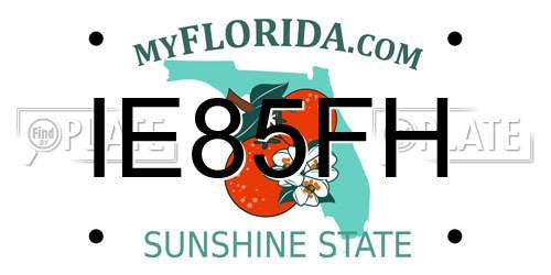 IE85FH Florida License Plate