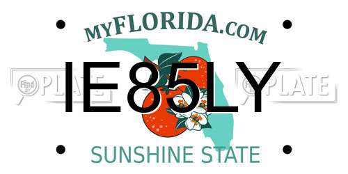 IE85LY Florida License Plate