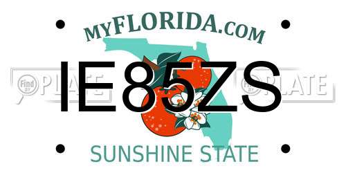 IE85ZS Florida License Plate