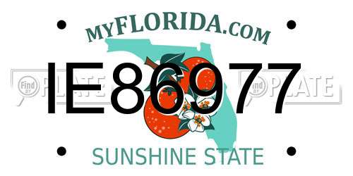 IE86977 Florida License Plate